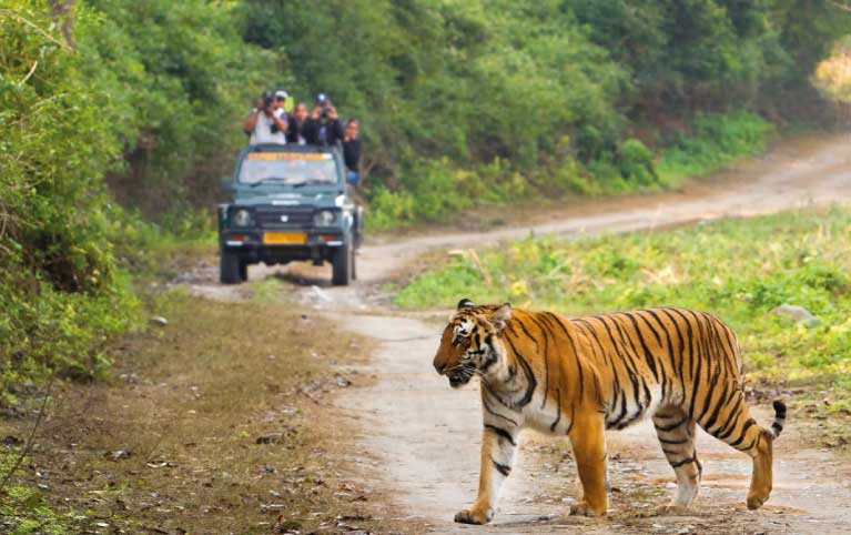 Corbett National Park Package